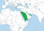Spread Of Islam Map