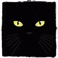 Black Cat Bad Omen